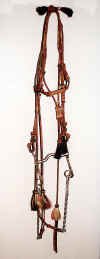 Oggs_Bridle3.jpg 